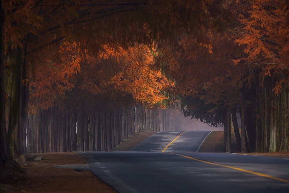 Morning Of Nov art print by Tiger Seo for $57.95 CAD
