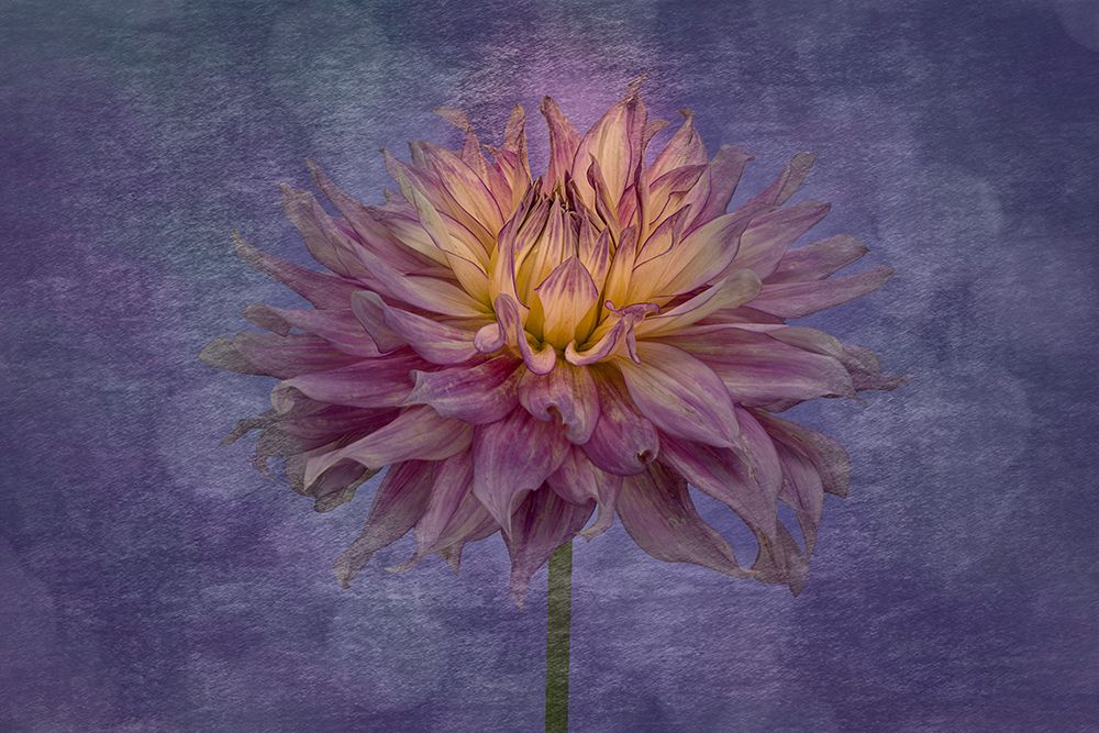 Inner Light art print by Richard Urbanski for $57.95 CAD