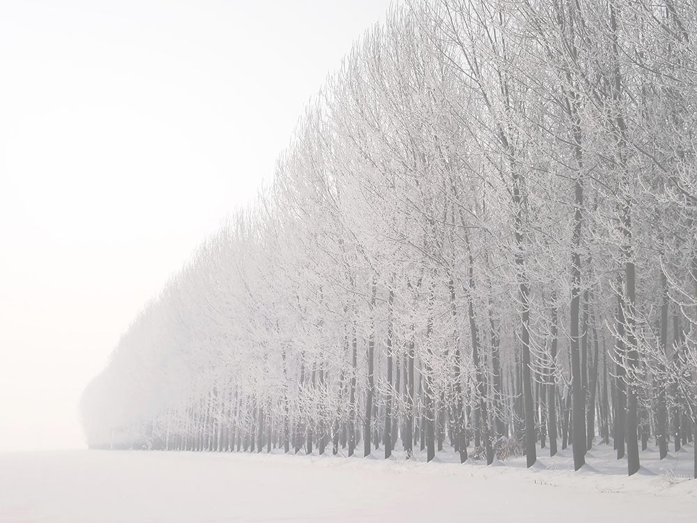 Winter art print by Gianni Annibale for $57.95 CAD