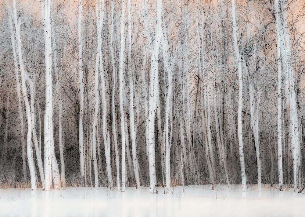 Wintry Vision art print by Lucie Gagnon for $57.95 CAD