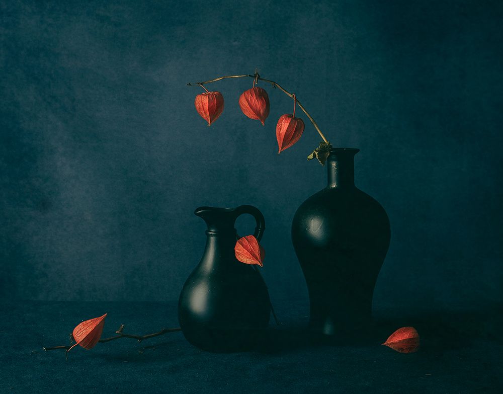 Red Lanterns art print by May G for $57.95 CAD