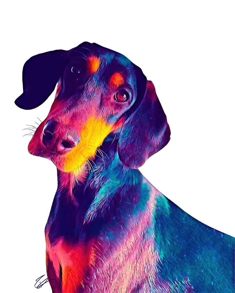 Finn Dog art print by Ruth Day for $57.95 CAD