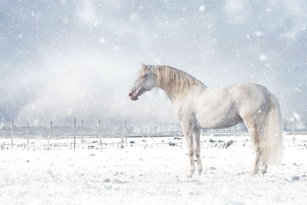 Let It Snow... art print by Celine Weerink for $57.95 CAD