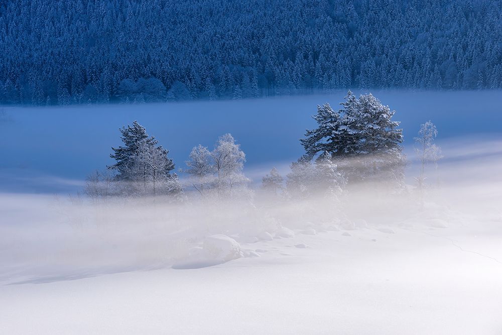 Frozen Lake art print by Norbert Maier for $57.95 CAD