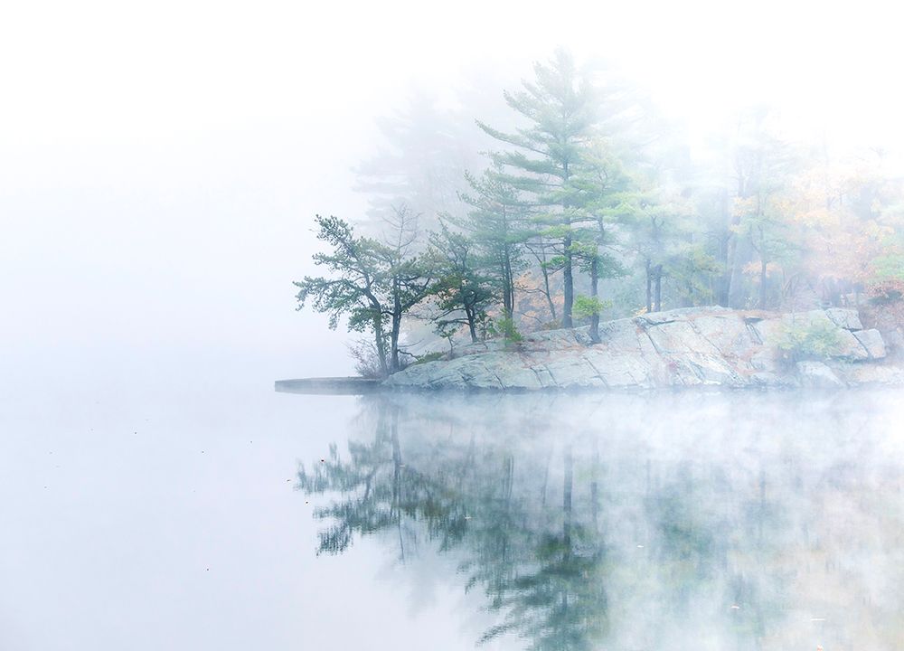Autumn Fog art print by Wei Dai for $57.95 CAD