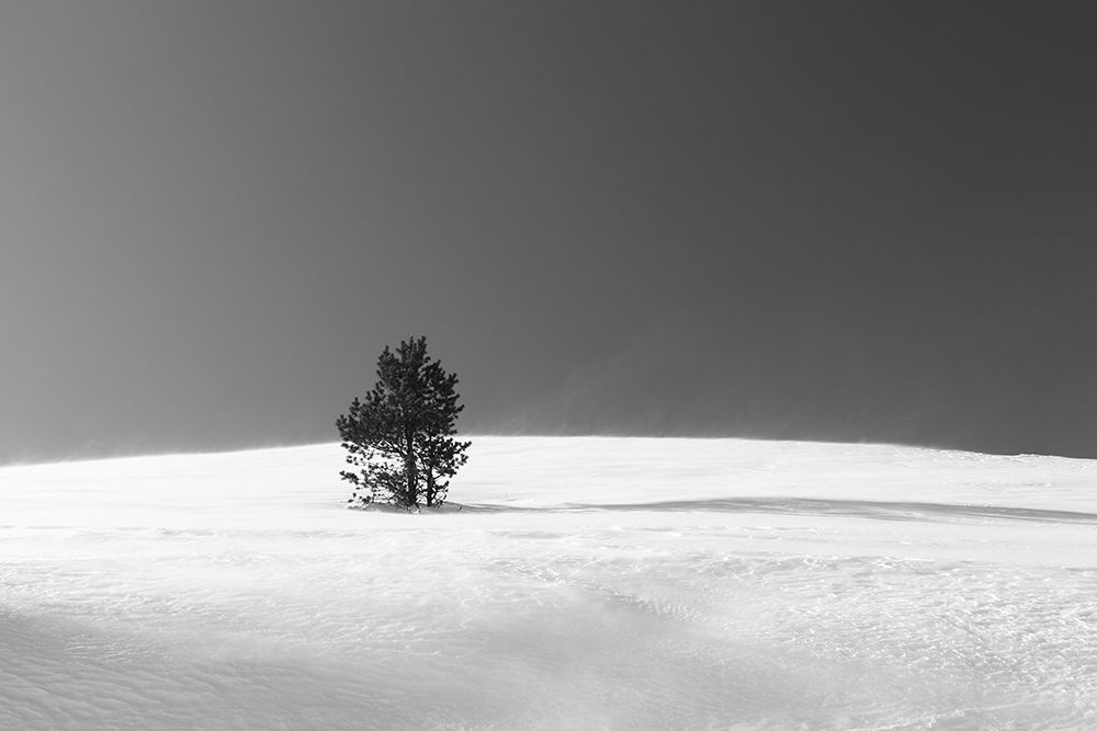 Alone art print by Mehmet Inal for $57.95 CAD