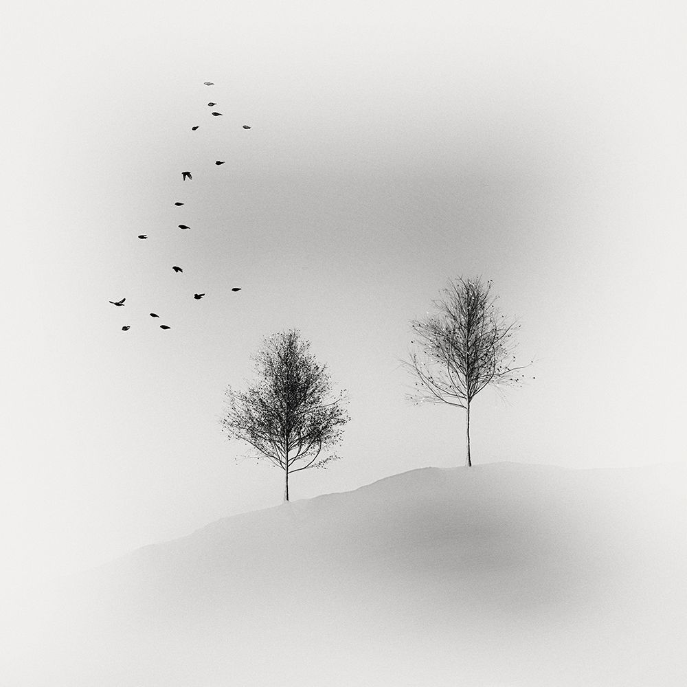 Simplicity art print by Marchevca Bogdan for $57.95 CAD
