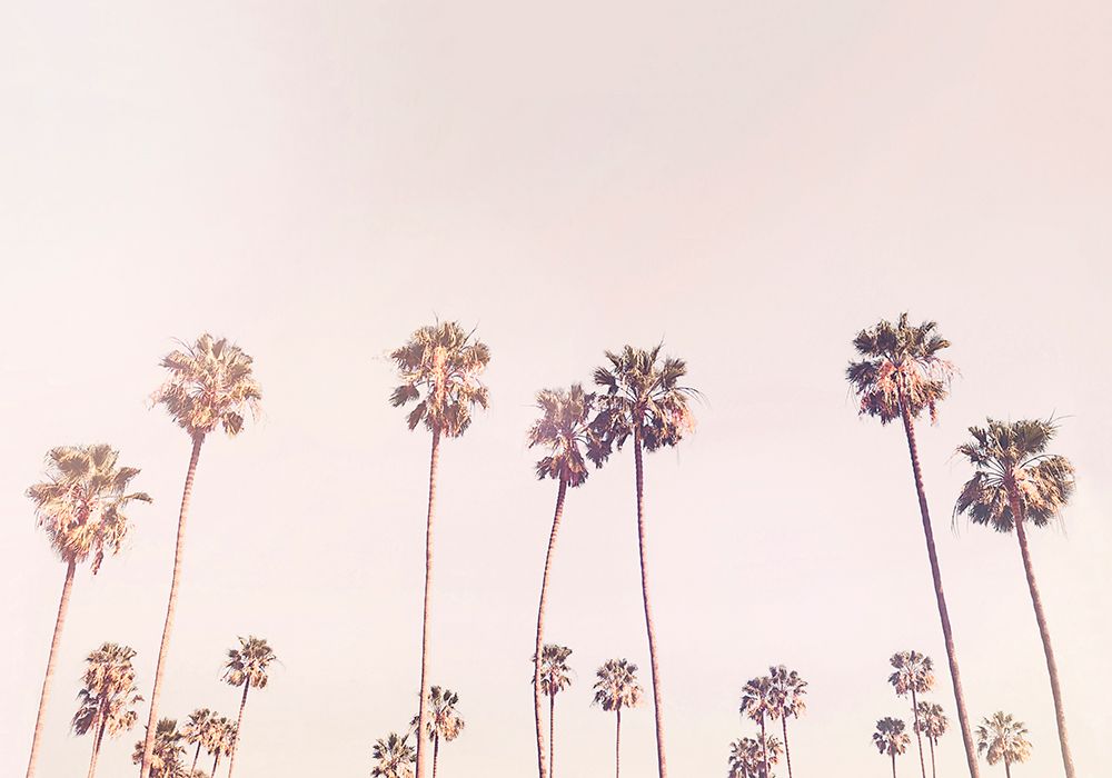 Sunny Cali Palm Trees art print by Kathrin Pienaar for $57.95 CAD
