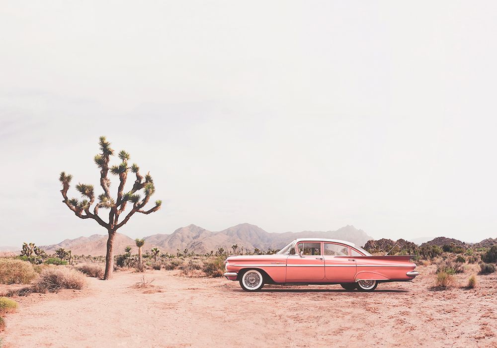 In the desert art print by Kathrin Pienaar for $57.95 CAD