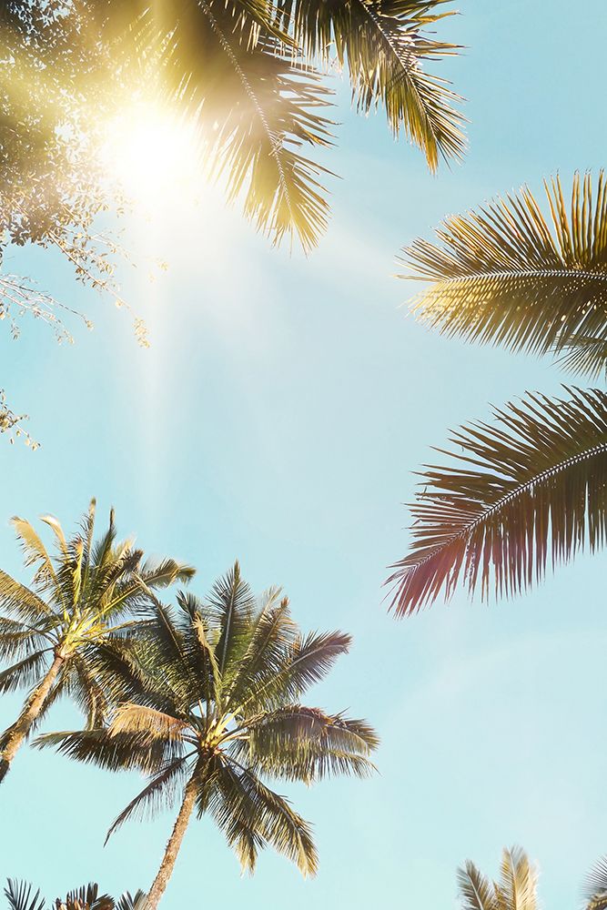 Sun Rays art print by Kathrin Pienaar for $57.95 CAD