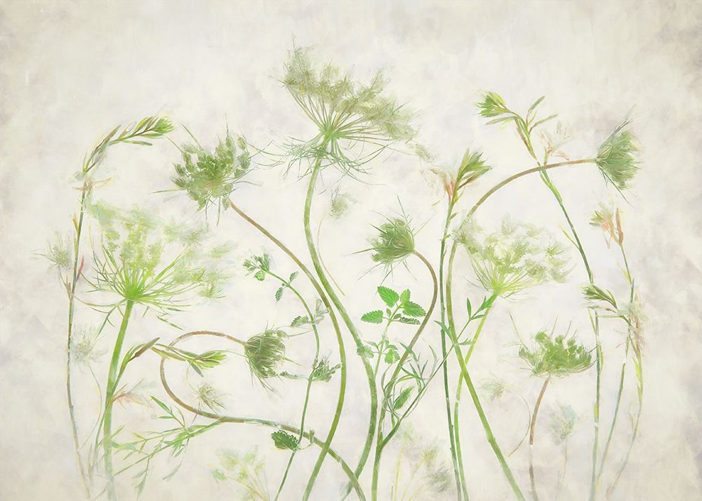 Wild Herb Garden art print by Fangping Zhou for $57.95 CAD