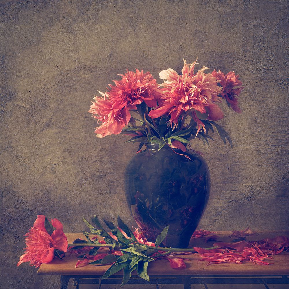 Still Life Peony art print by Monique van Velzen for $57.95 CAD