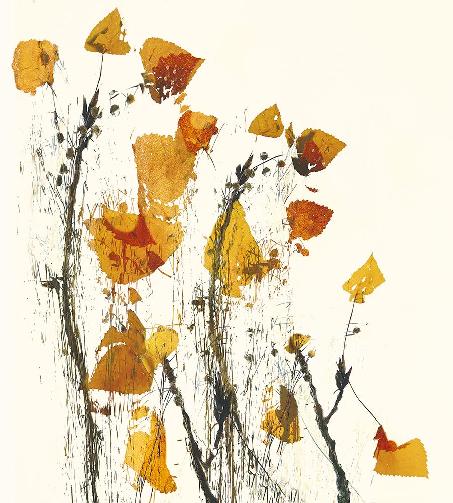 Leaves Still Life art print by Nel Talen for $57.95 CAD
