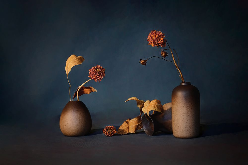 Dried Flower art print by GaoSL for $57.95 CAD