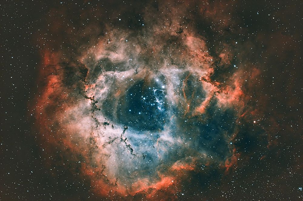 Rosette Nebula art print by James Zhen Yu for $57.95 CAD