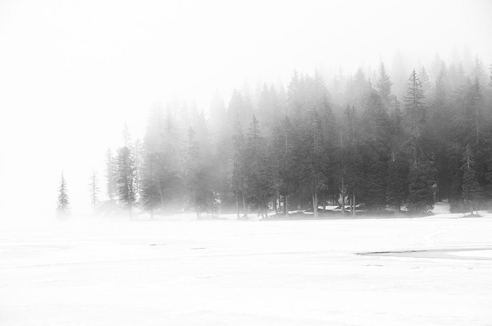 Foggy Day art print by Annalisa Bontempi for $57.95 CAD
