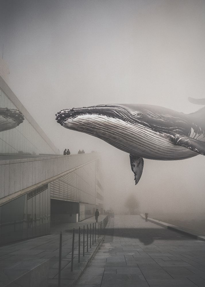Whale Nr. 28 art print by Baard Martinussen for $57.95 CAD
