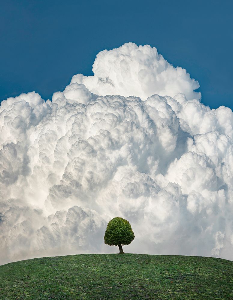 Up In The Clouds art print by Christian Lindsten for $57.95 CAD