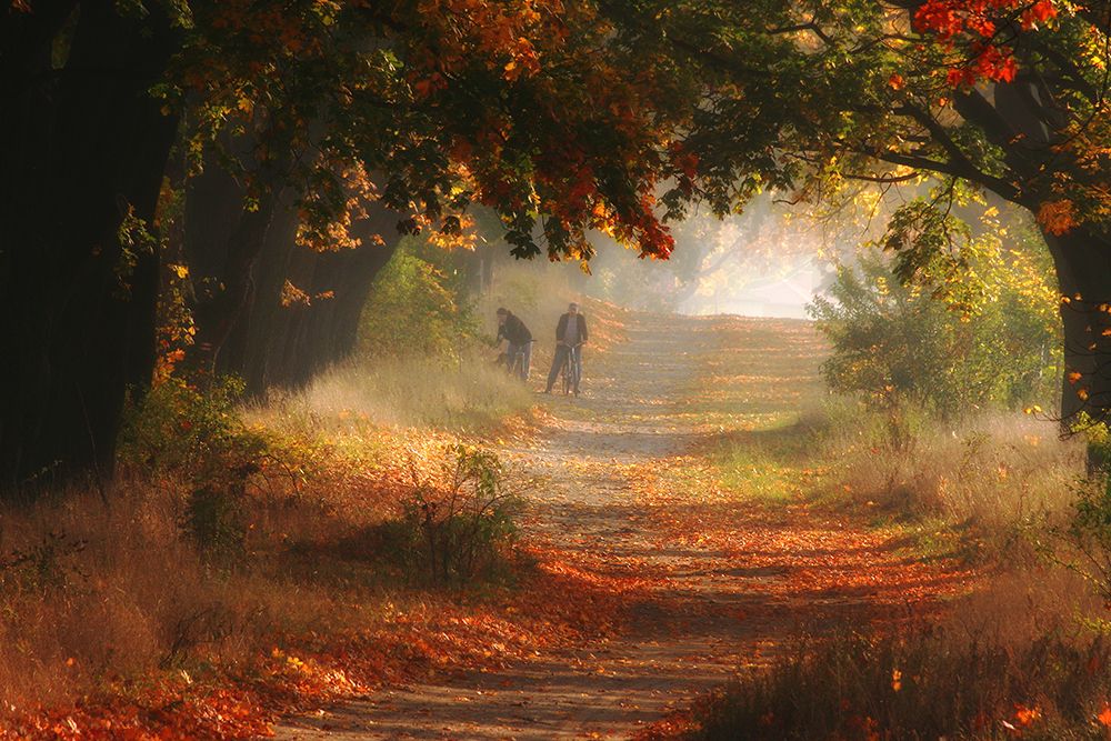 *** art print by Przemyslaw Kruk for $57.95 CAD