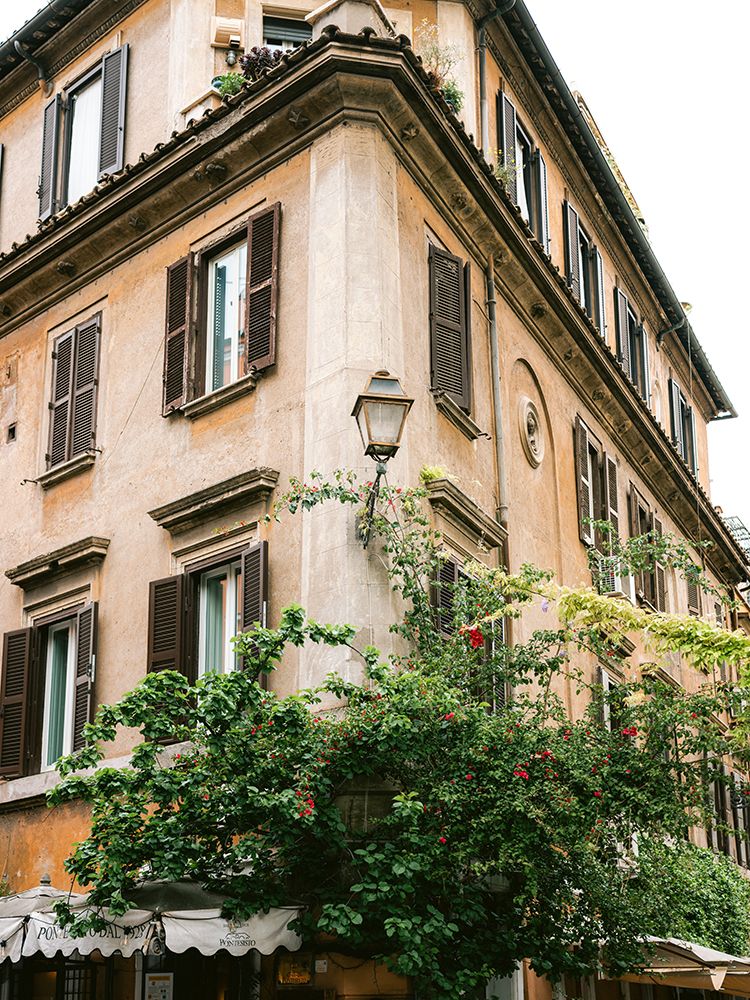 Botanical Trastevere Rome || art print by Raisa Zwart for $57.95 CAD