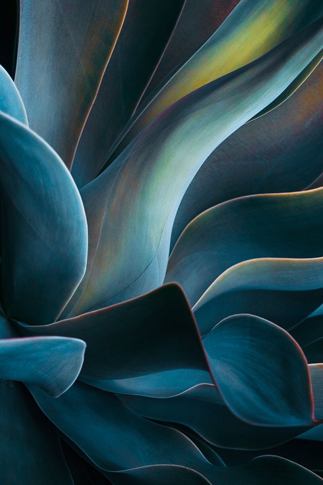 Almost Winter art print by Robin Wechsler for $57.95 CAD