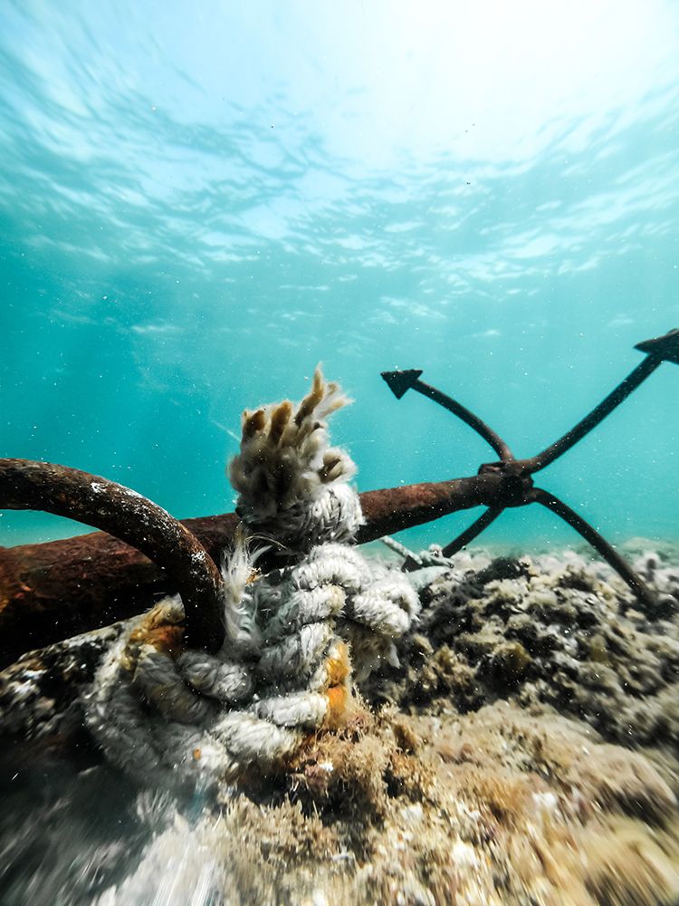 Details Of Anchor Underwater art print by Hilal safarjalani for $57.95 CAD