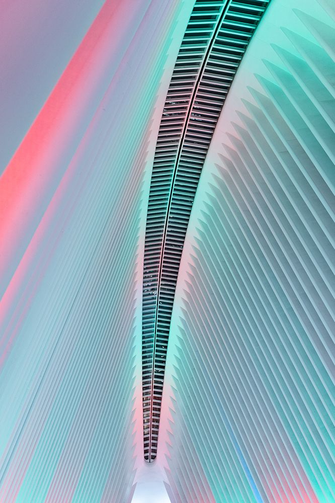 Christmas in the Oculus art print by Hal Li for $57.95 CAD