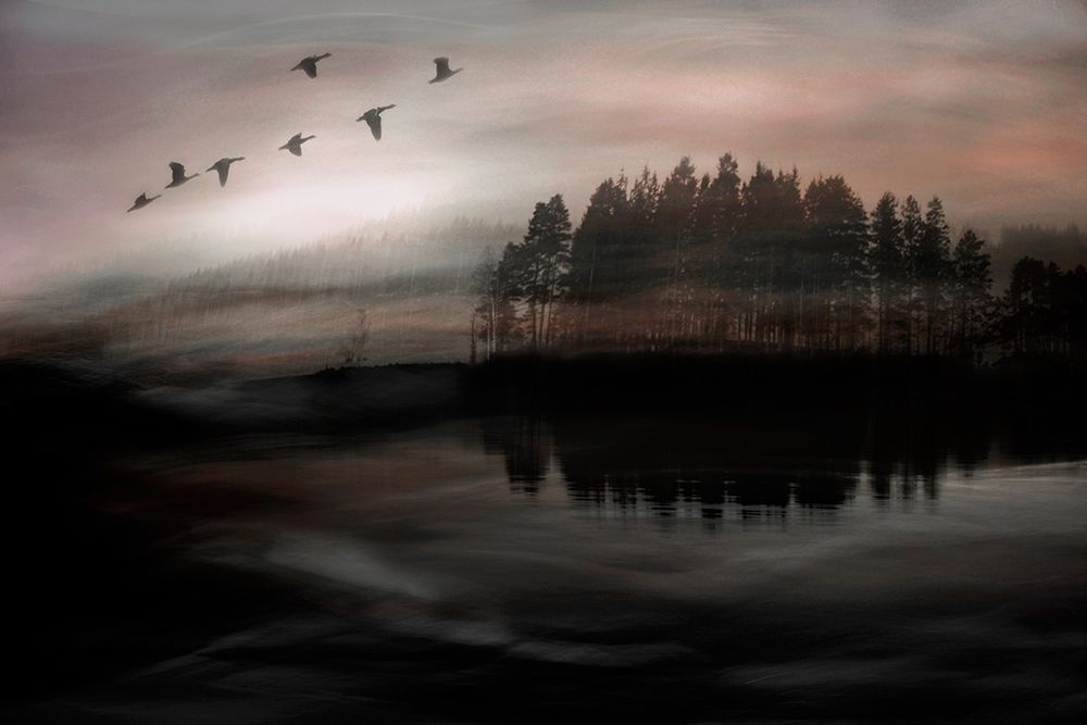 Morning Blush art print by Christina Sillen for $57.95 CAD