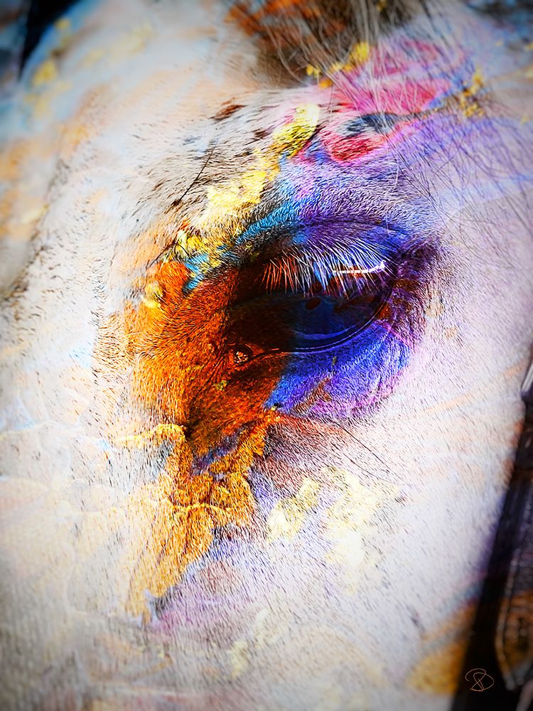 Painted Horse art print by Ruth Day for $57.95 CAD