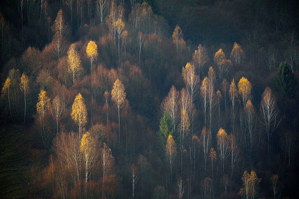 Late Autumn art print by Lazar Ioan Ovidiu for $57.95 CAD