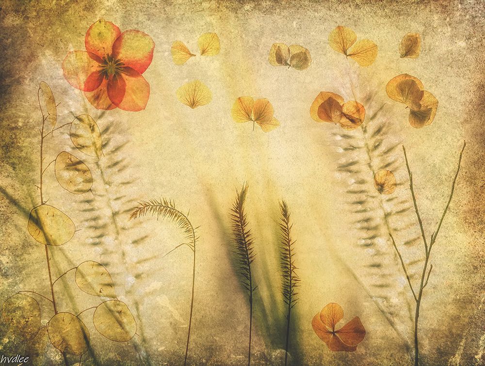 Intimate Landscape art print by van der Hilda for $57.95 CAD