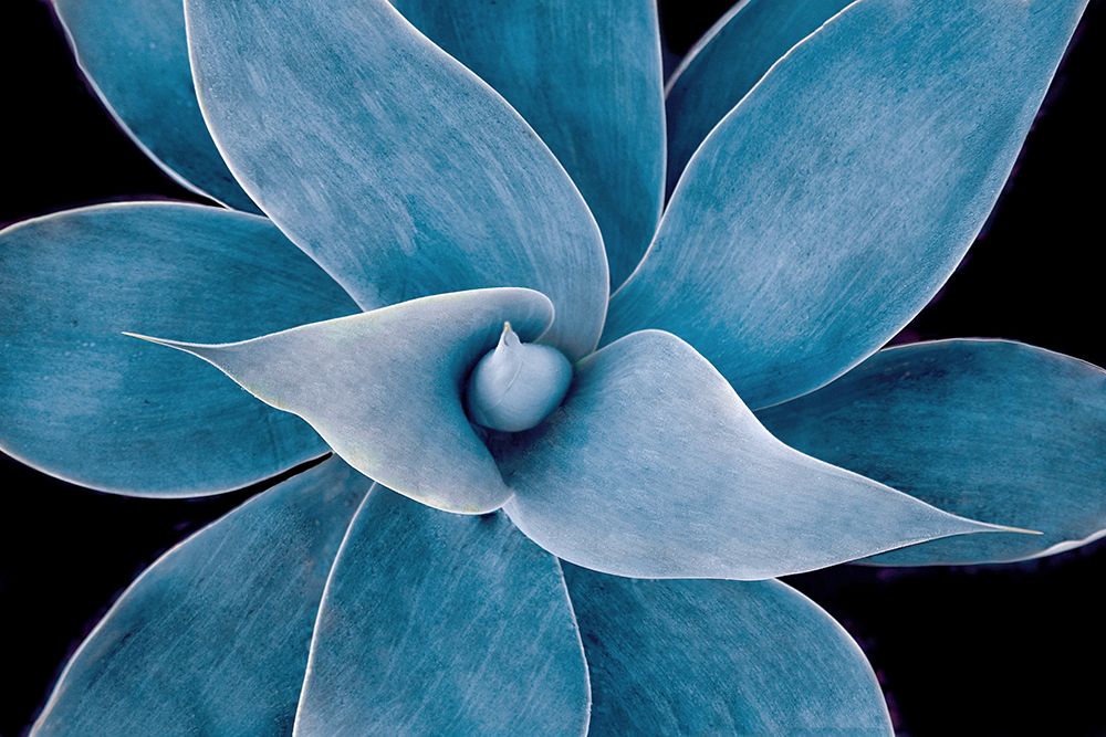 The Winter Blues 2023 art print by Robin Wechsler for $57.95 CAD