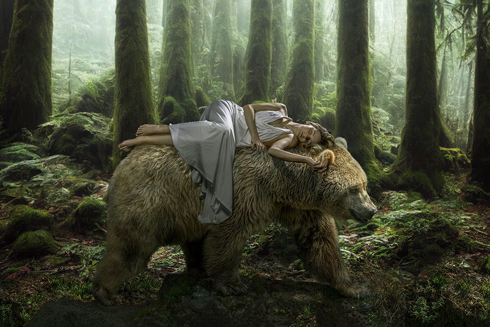 Dreambear art print by Marcel Egger for $57.95 CAD