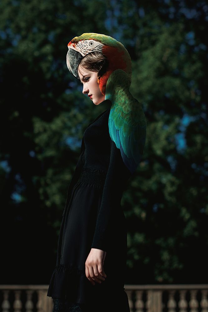 Parrot art print by Martin Lee for $57.95 CAD