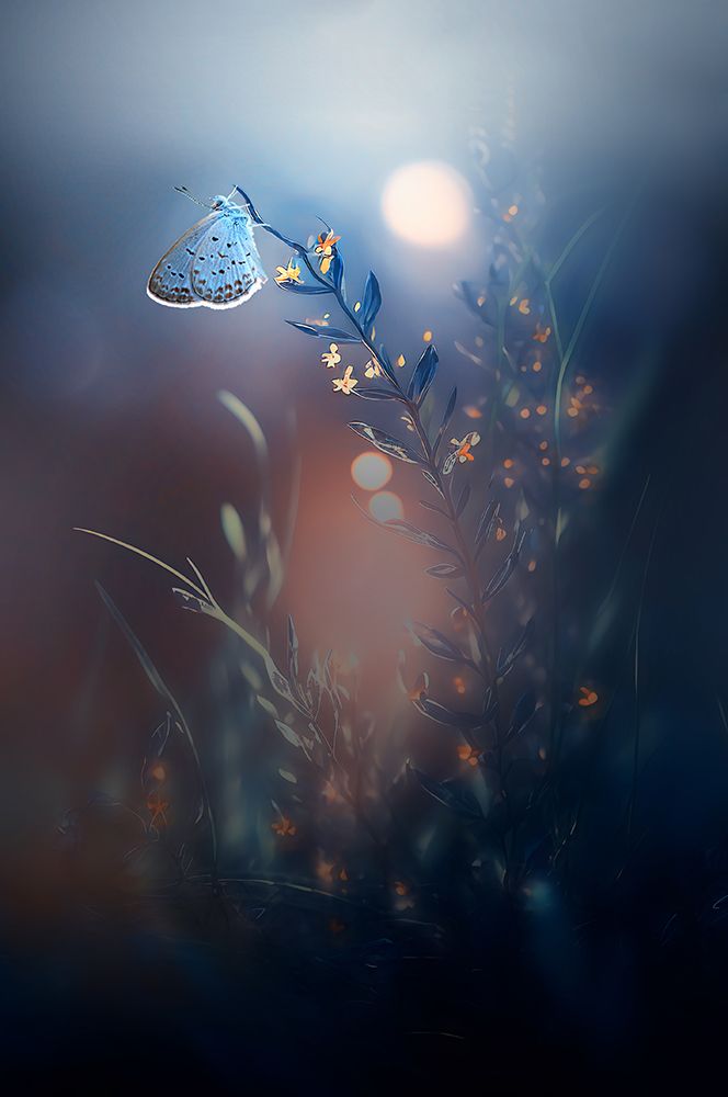 Lonely art print by Edy Pamungkas for $57.95 CAD