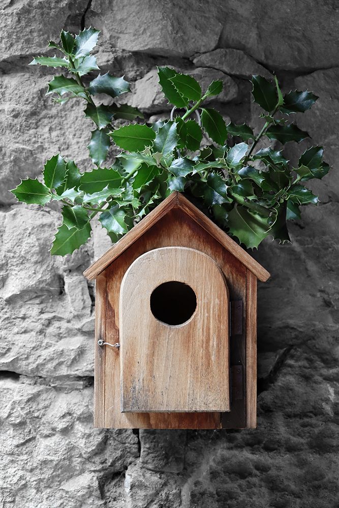 Holly Birdhouse art print by Rosana Laiz Blursbyai for $57.95 CAD