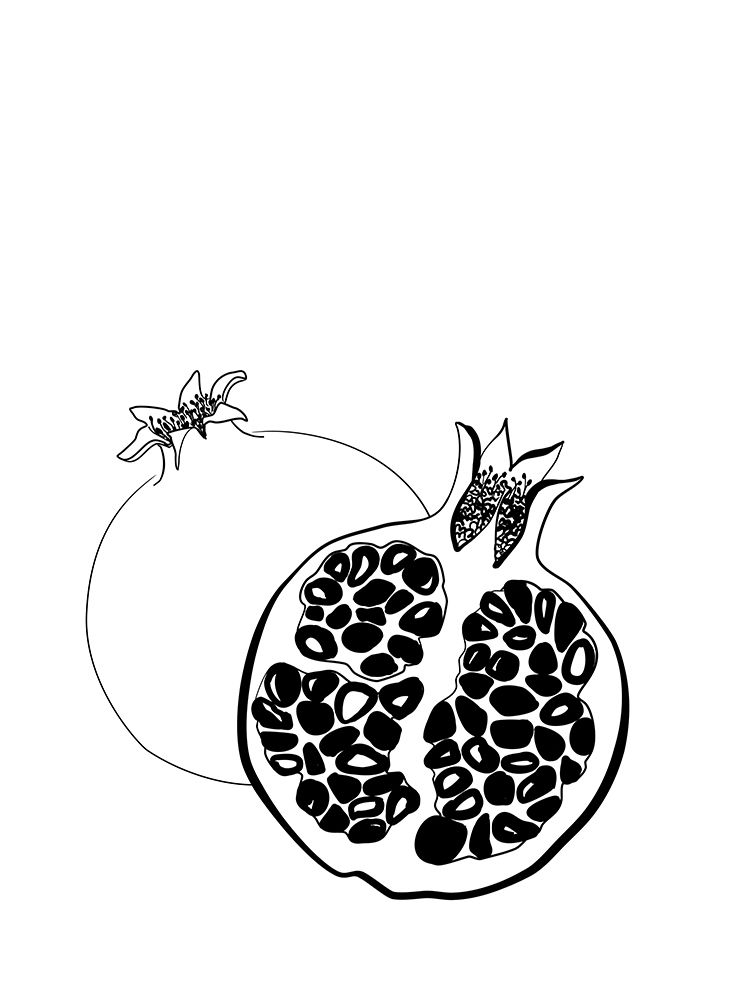 Line art pomegranates art print by Rosana Laiz Blursbyai for $57.95 CAD