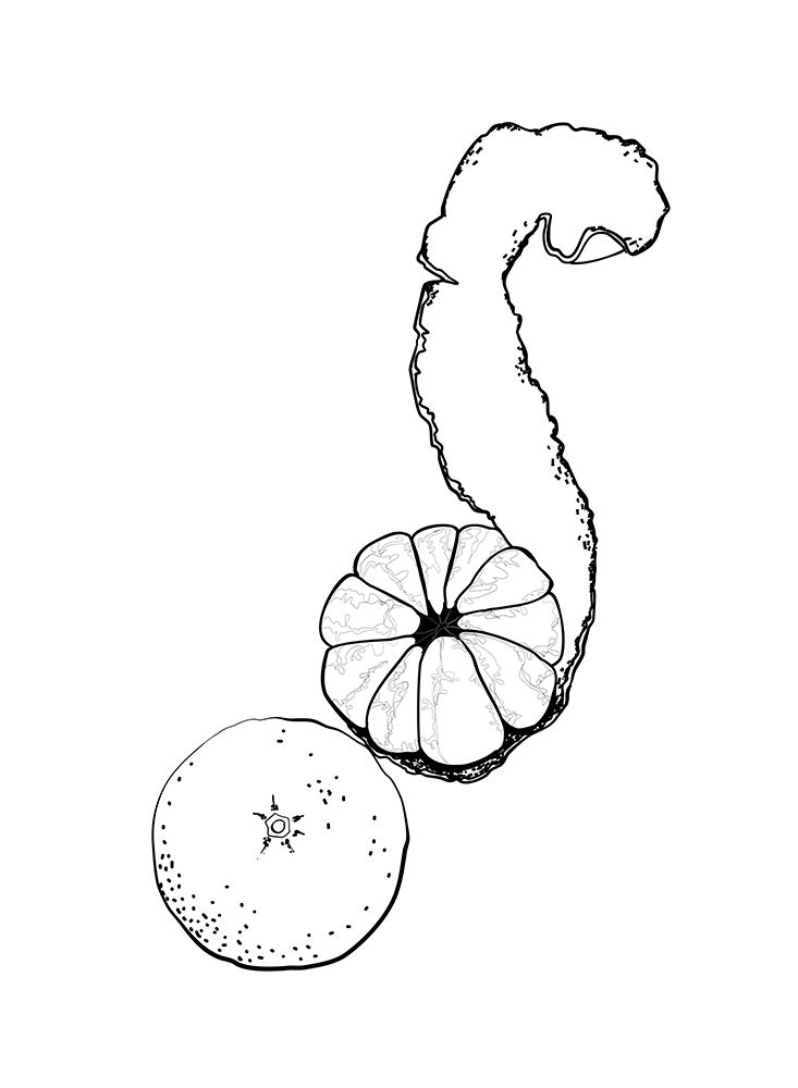 Line art tangerine art print by Rosana Laiz Blursbyai for $57.95 CAD