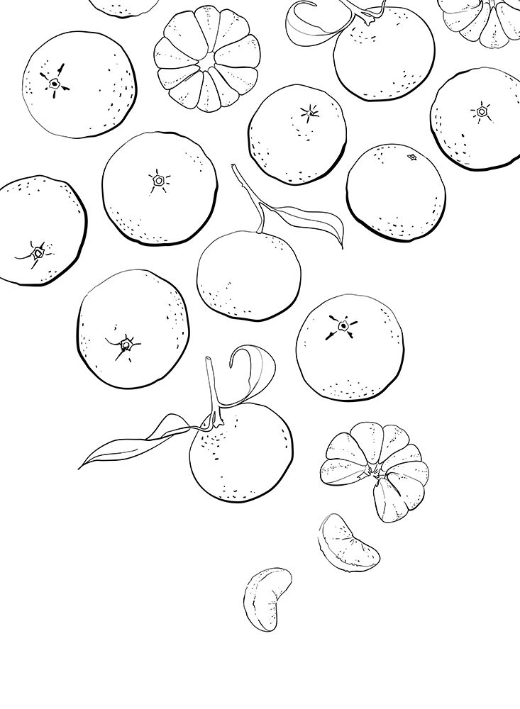 Line art tangerines art print by Rosana Laiz Blursbyai for $57.95 CAD