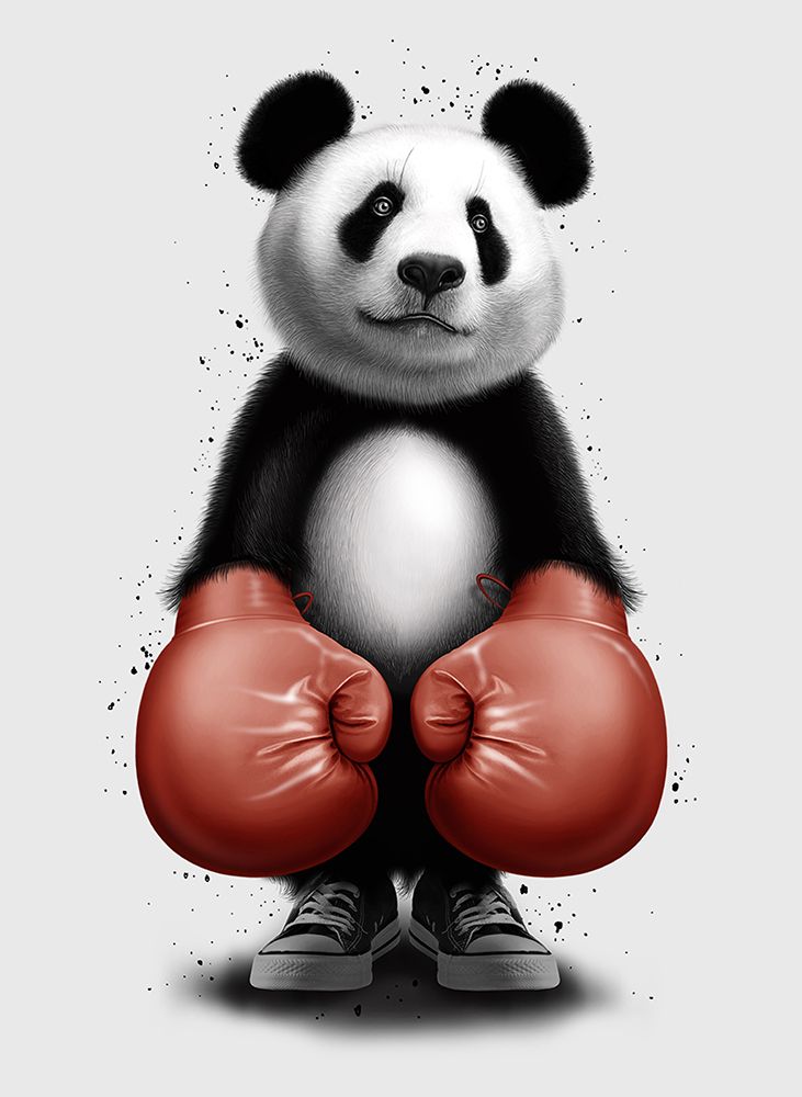 PANDA BOXER art print by Adam Lawless for $57.95 CAD