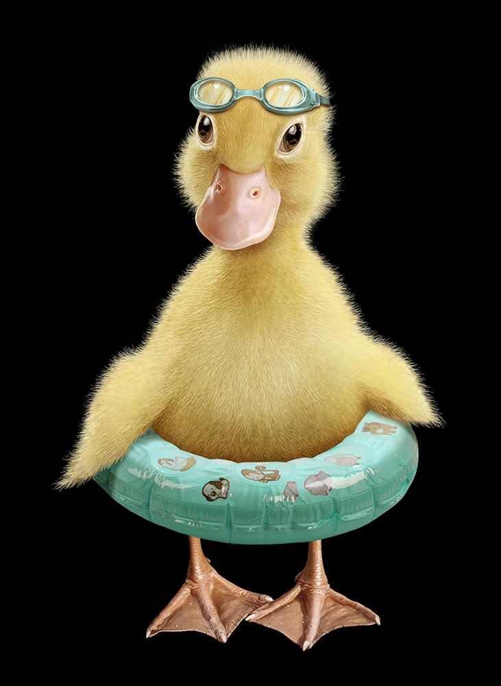 DUCK art print by Adam Lawless for $57.95 CAD