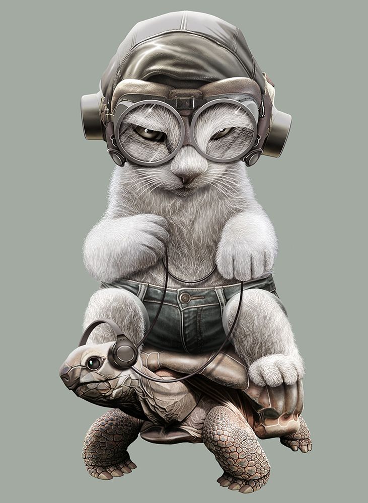 CAT RIDING TORTOISE art print by Adam Lawless for $57.95 CAD
