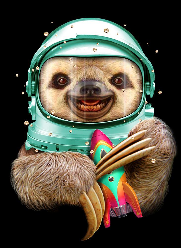 SPACESLOTH art print by Adam Lawless for $57.95 CAD