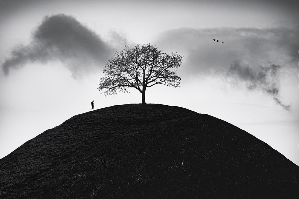Wanderer art print by Marchevca Bogdan for $57.95 CAD