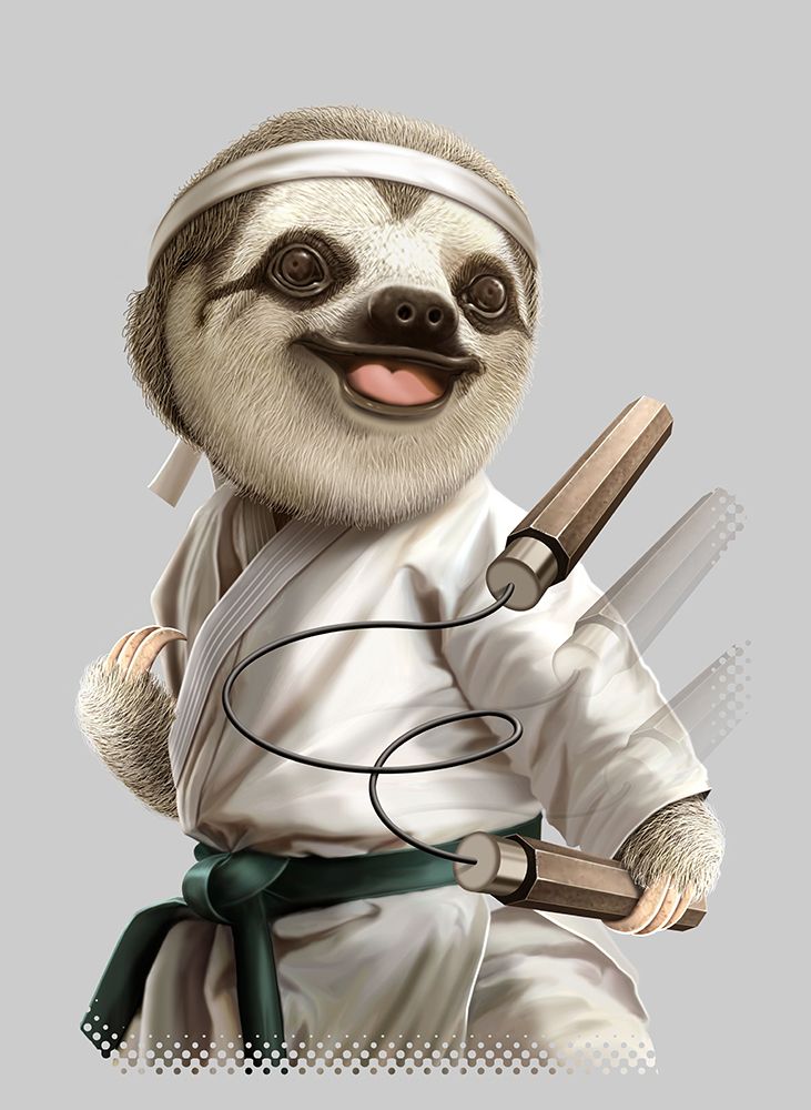 karate sloth art print by Adam Lawless for $57.95 CAD