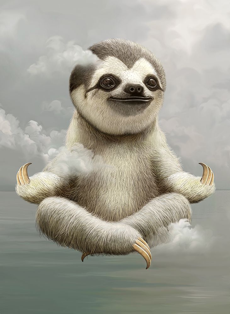sloth meditating art print by Adam Lawless for $57.95 CAD