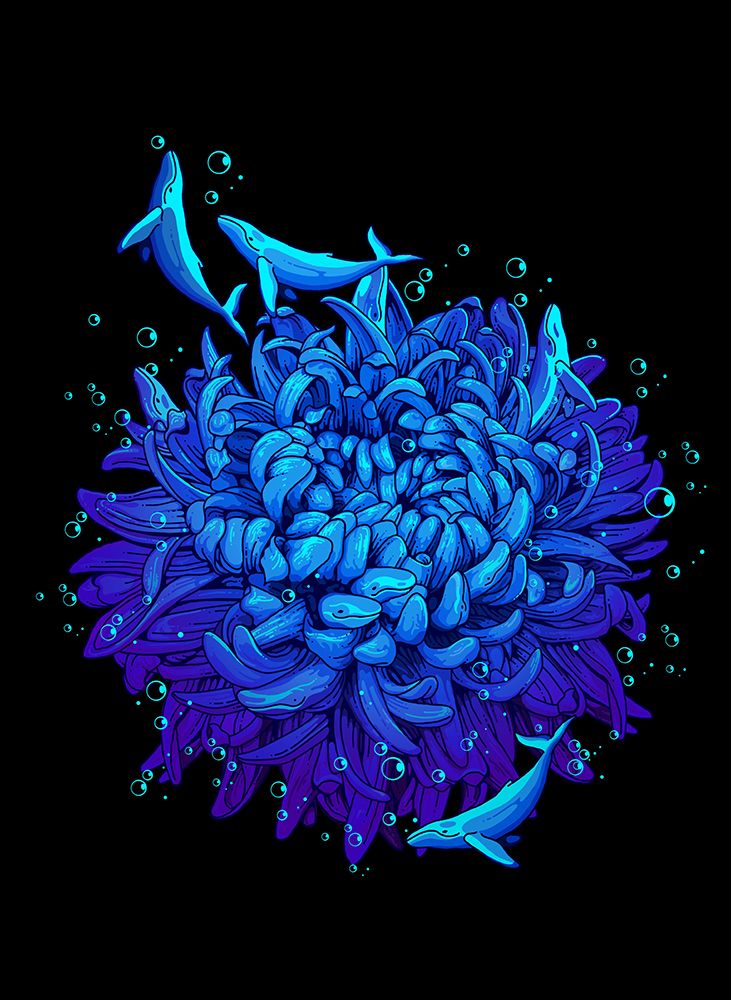 sea flower art print by Adam Lawless for $57.95 CAD