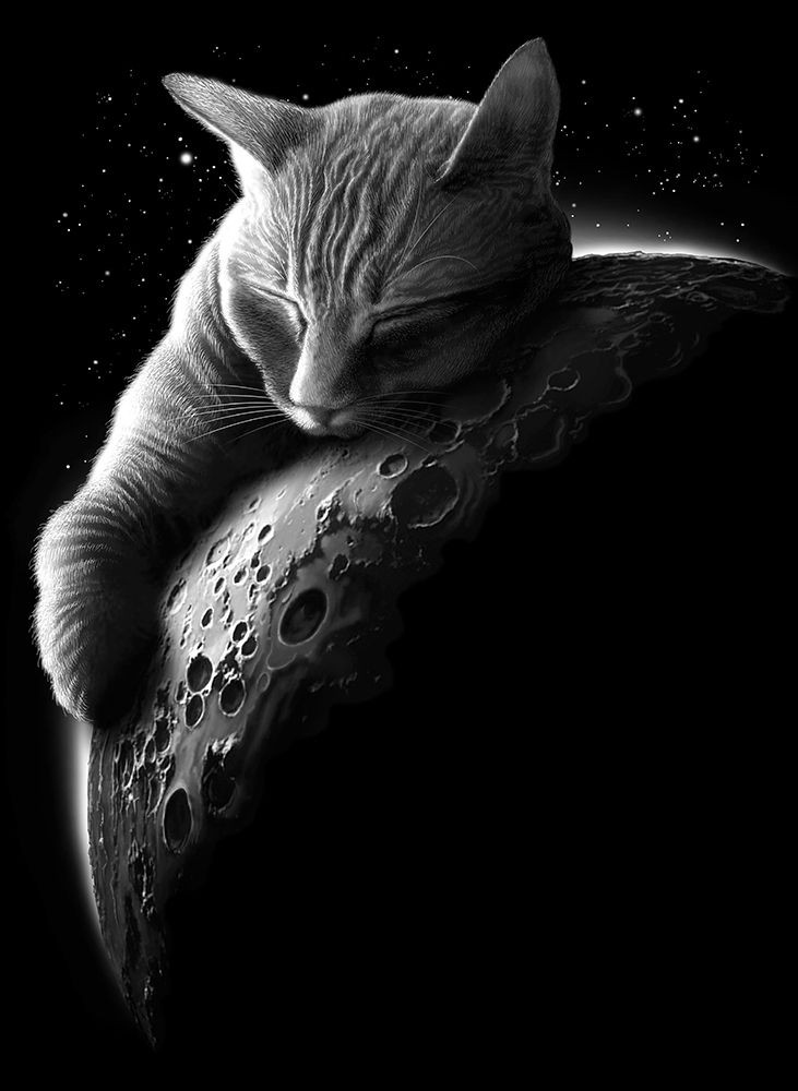 mooncat art print by Adam Lawless for $57.95 CAD
