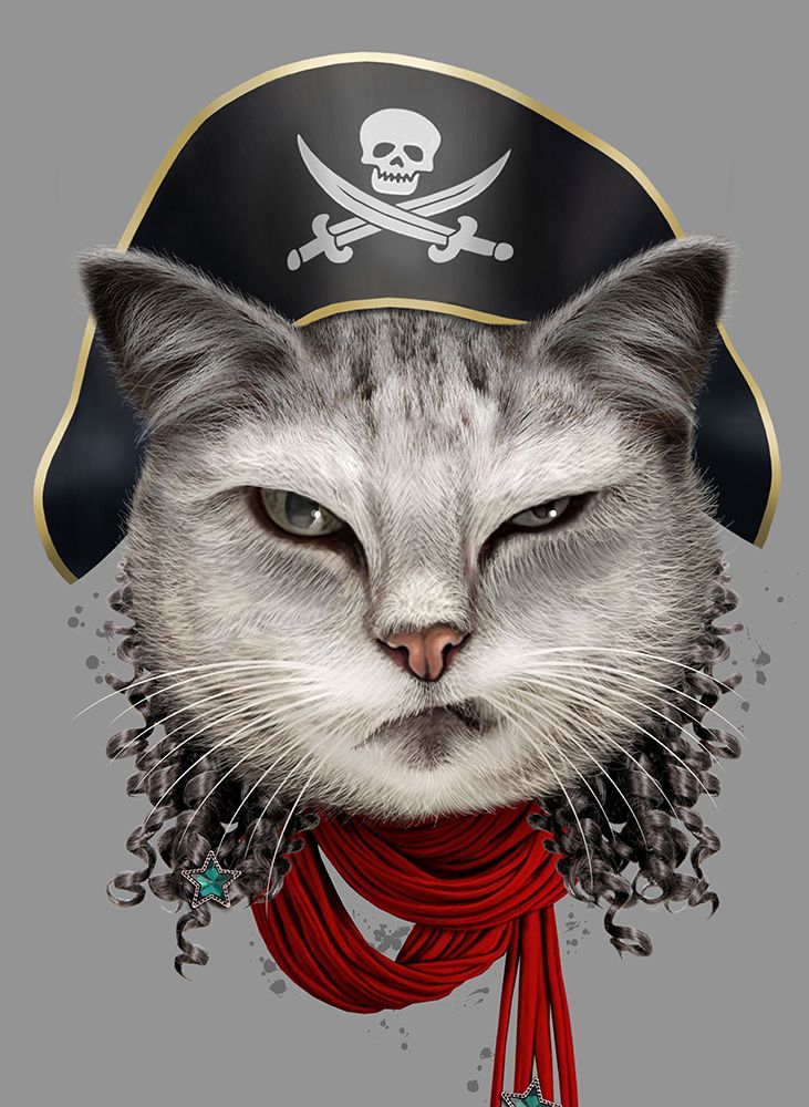 pirate art print by Adam Lawless for $57.95 CAD