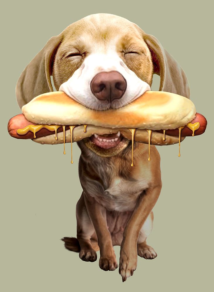 hotdog art print by Adam Lawless for $57.95 CAD